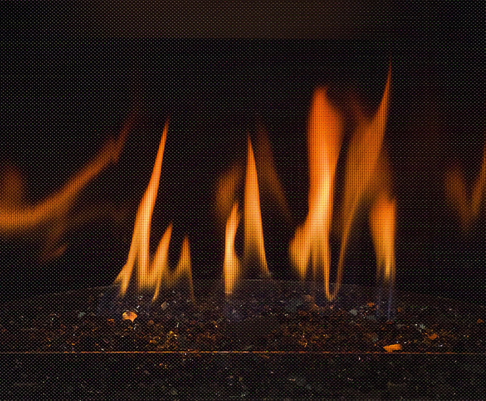 Logs Glass